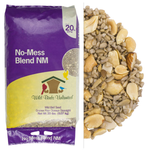 Backyard Feeding Basics