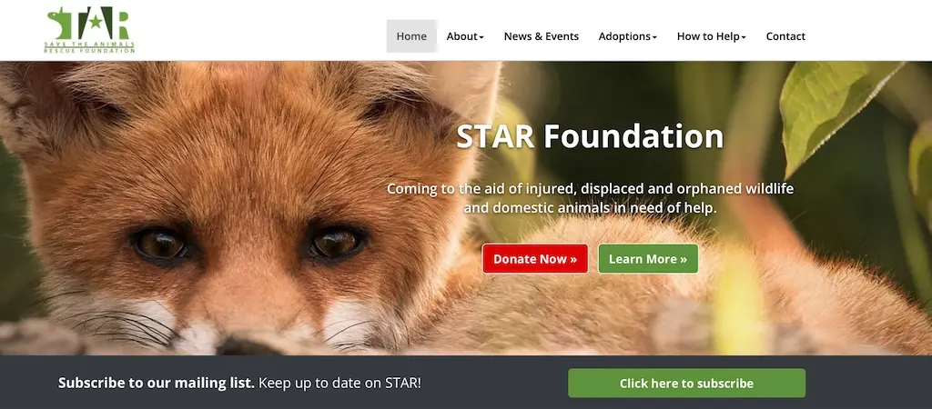 Wildlife Rescue & Rehabilitation