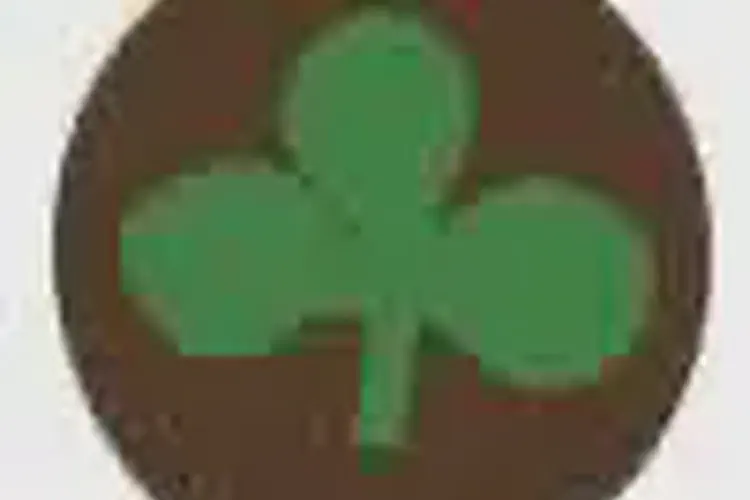 The 16th Irish Division of the British army assaults an area of the German lines known as Tunnel Trench