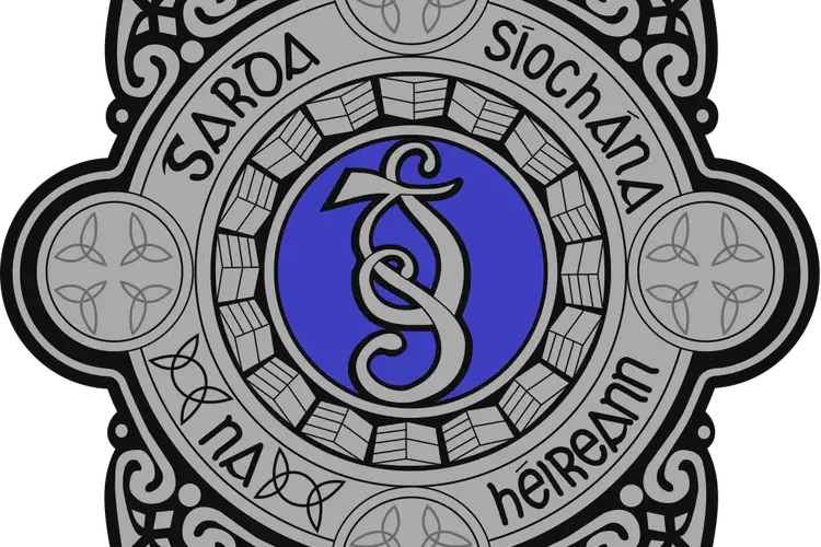 The Civic Guard is renamed the Garda Siochana