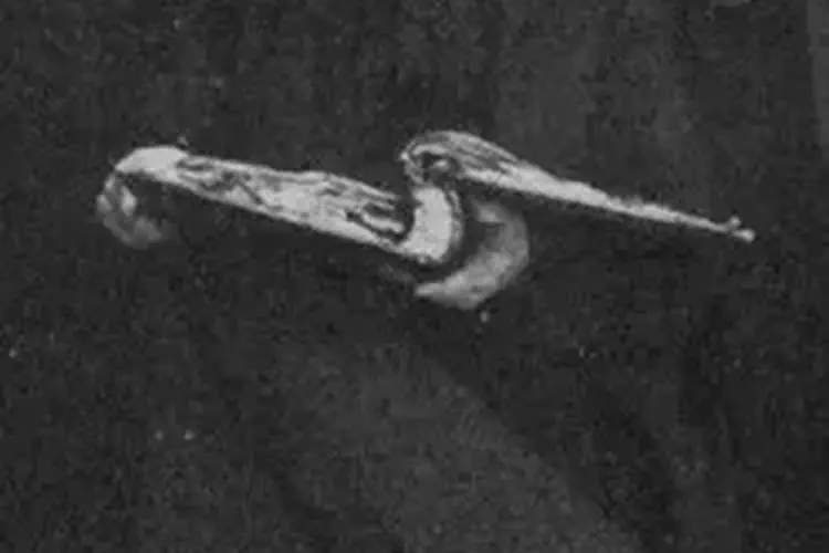 Edmund Hogan, Jesuit and scholar, is born in Cork