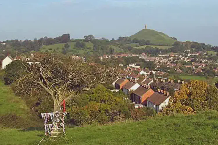 England Glastonbury Thorn Day