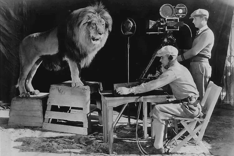 The lion, known as of Cairbre, used to introduce Metro-Goldwyn-Meyer films, born in Dublin