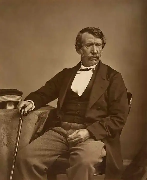 David Livingstone reached Victoria Falls in Africa