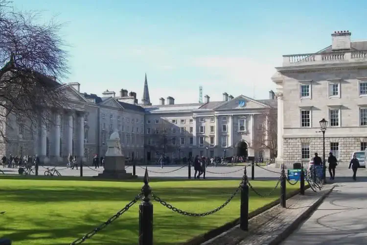 The Irish Convention